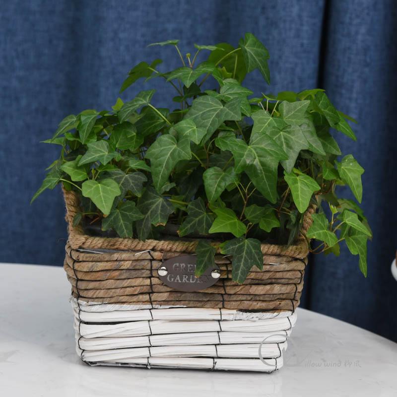 柳風(fēng)收納，客廳收納柳編筐